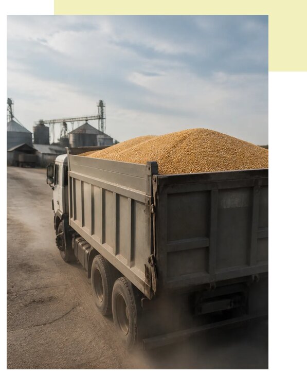 Перевозка сельхозпродукции навалом в Нижнеудинск по цене от 3051 р. | Агросервис-Нжк